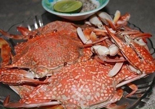 Travelling to Phu Quoc, eating crab Ham Ninh